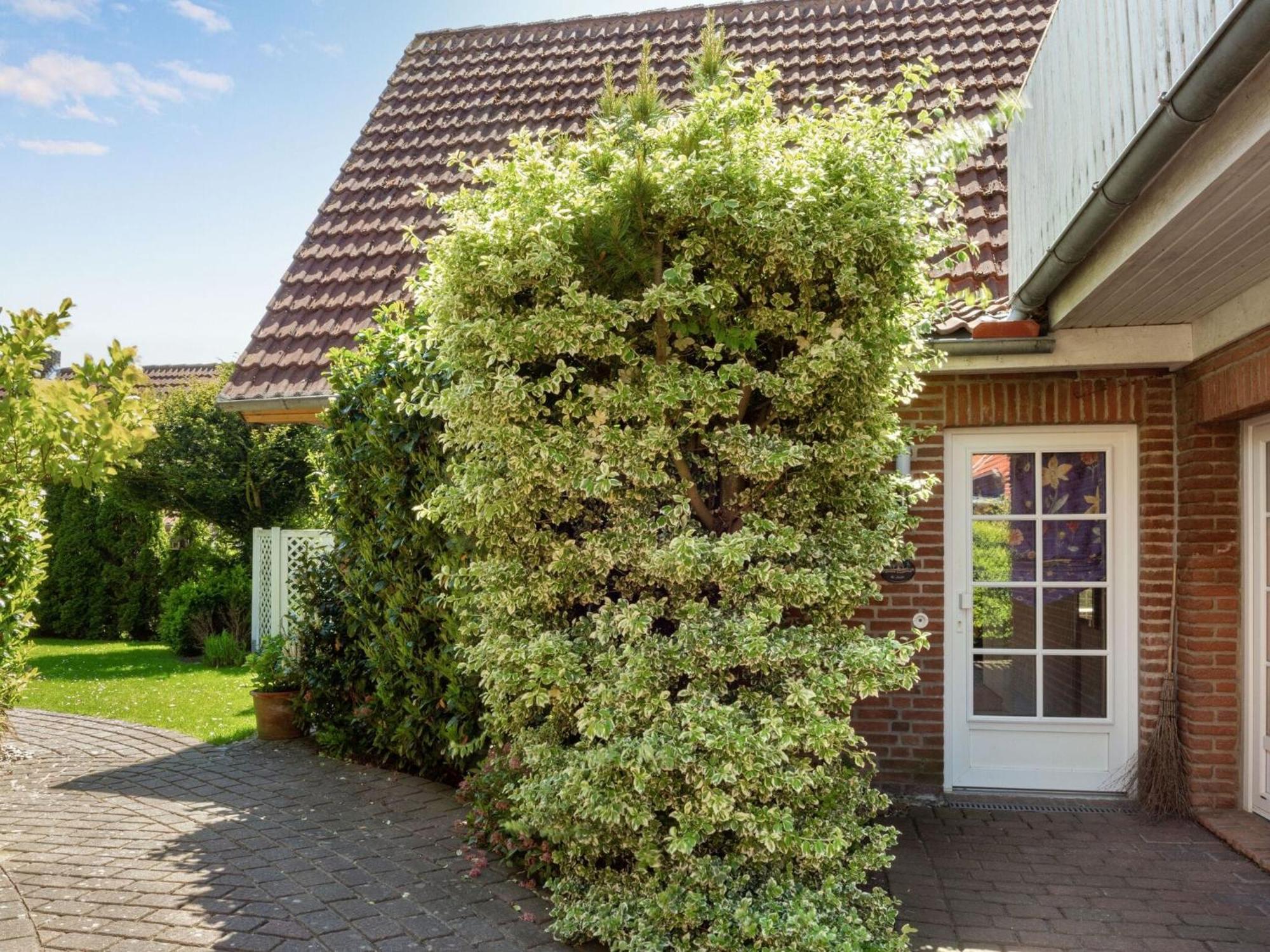 Enticing Holiday Home In Oldenburg With Garden Near Sea Dannau Eksteriør billede